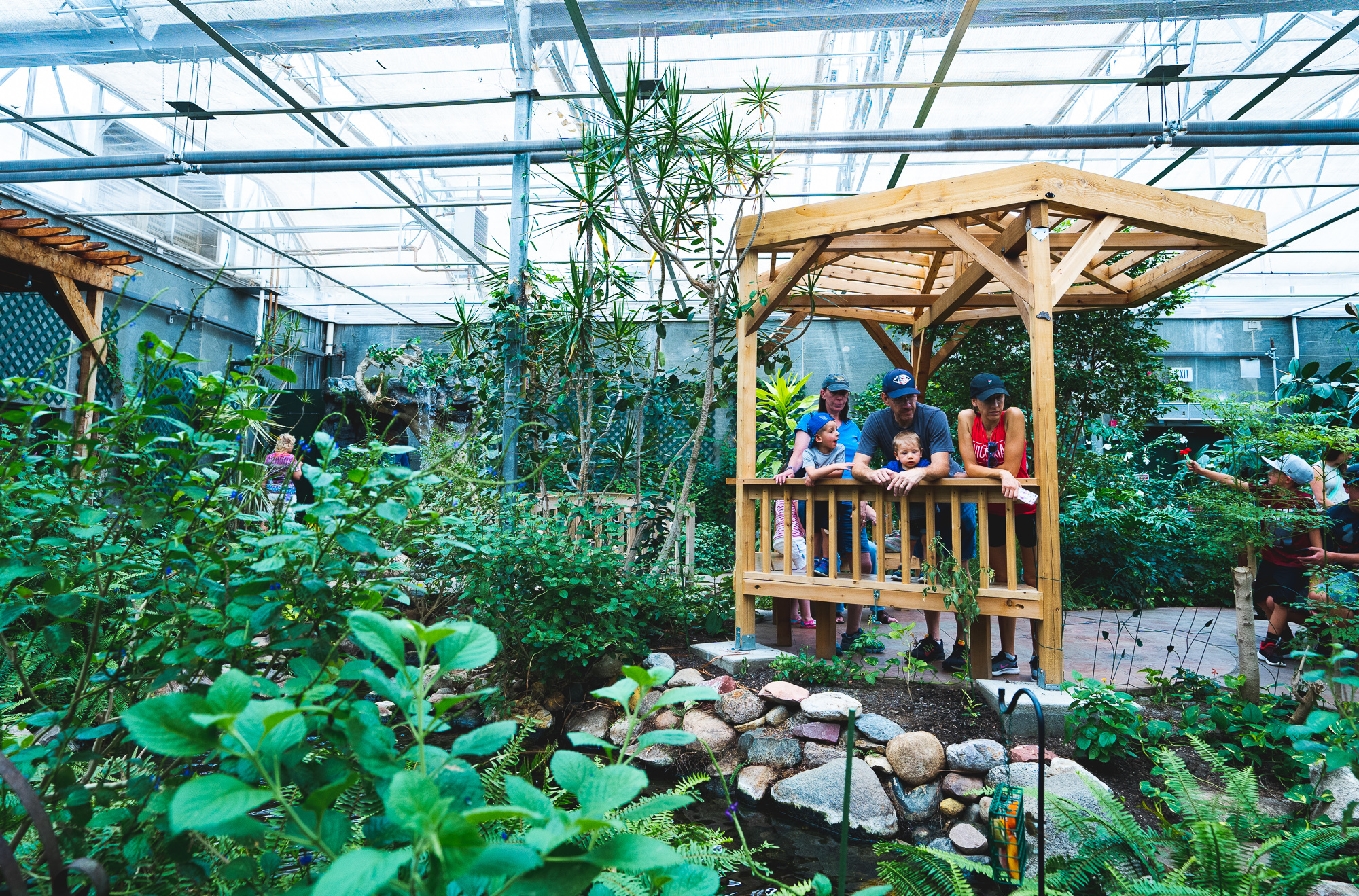 Butterfly House